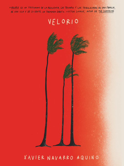 Cover image for Velorio